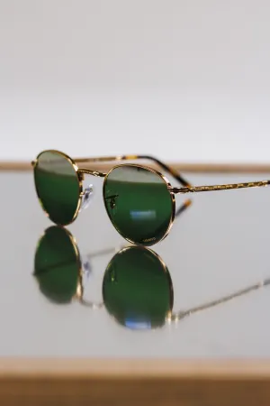 Ray-Ban Gold Clear New Round Sunglasses